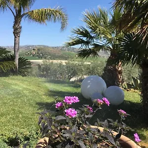 Il Colle Del Rustico Bed and breakfast